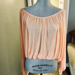 Sheer Blush Blouse!